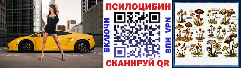 купить наркотики сайты  omg как войти  Псилоцибиновые грибы Psilocybine cubensis  Реж 